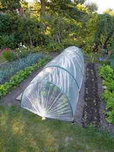 Tunnels pour plantes