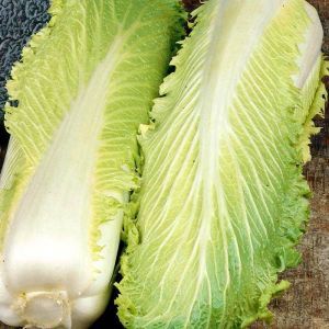 1 2260 Chinese Cabbage