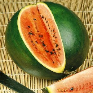 2 2434 Watermelon