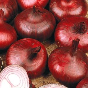 3 2890 Red Onions