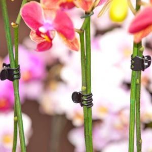 Pince de tuteurage pour orchidées 10