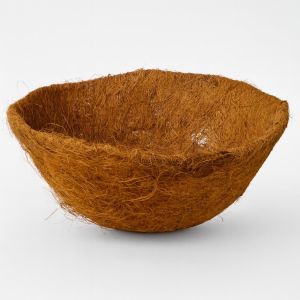 8711338701317.JPG Studio