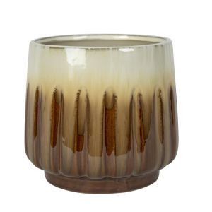 165924 Alice Glazed