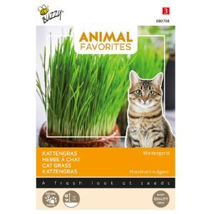 Cat Grass Wintergerst 080708