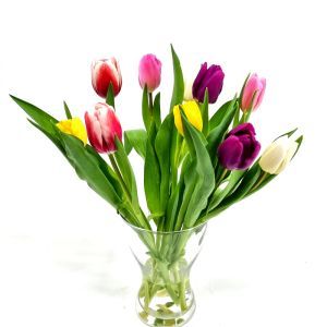 Bouquet de tulipes Mélanger