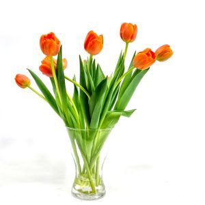 Bouquet de tulipes Prinses Irene