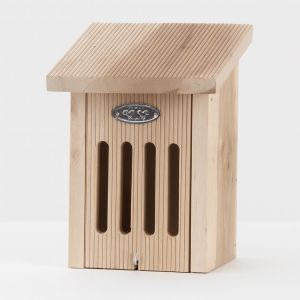 WA70 Vlinderkast in cadeaudoos Studio