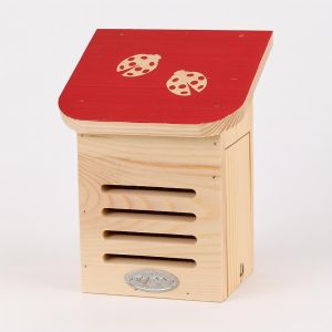 WA80 Diapositief lieveheersbeestjeshuis Studio